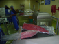 Preview: Sashimi Thunfisch Mittelstück 2400 - 2600 g